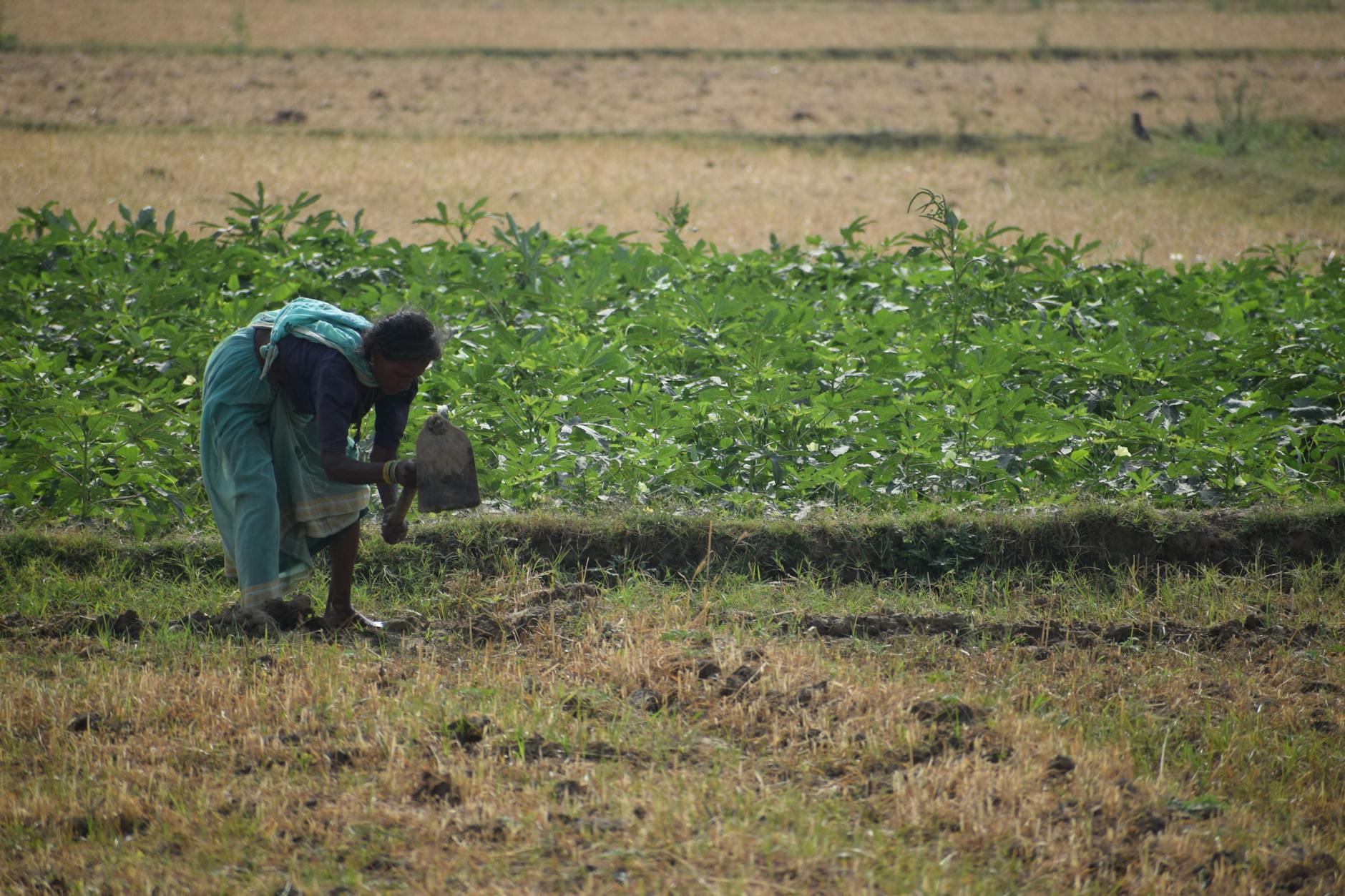 Agriculture — Women in the Fields