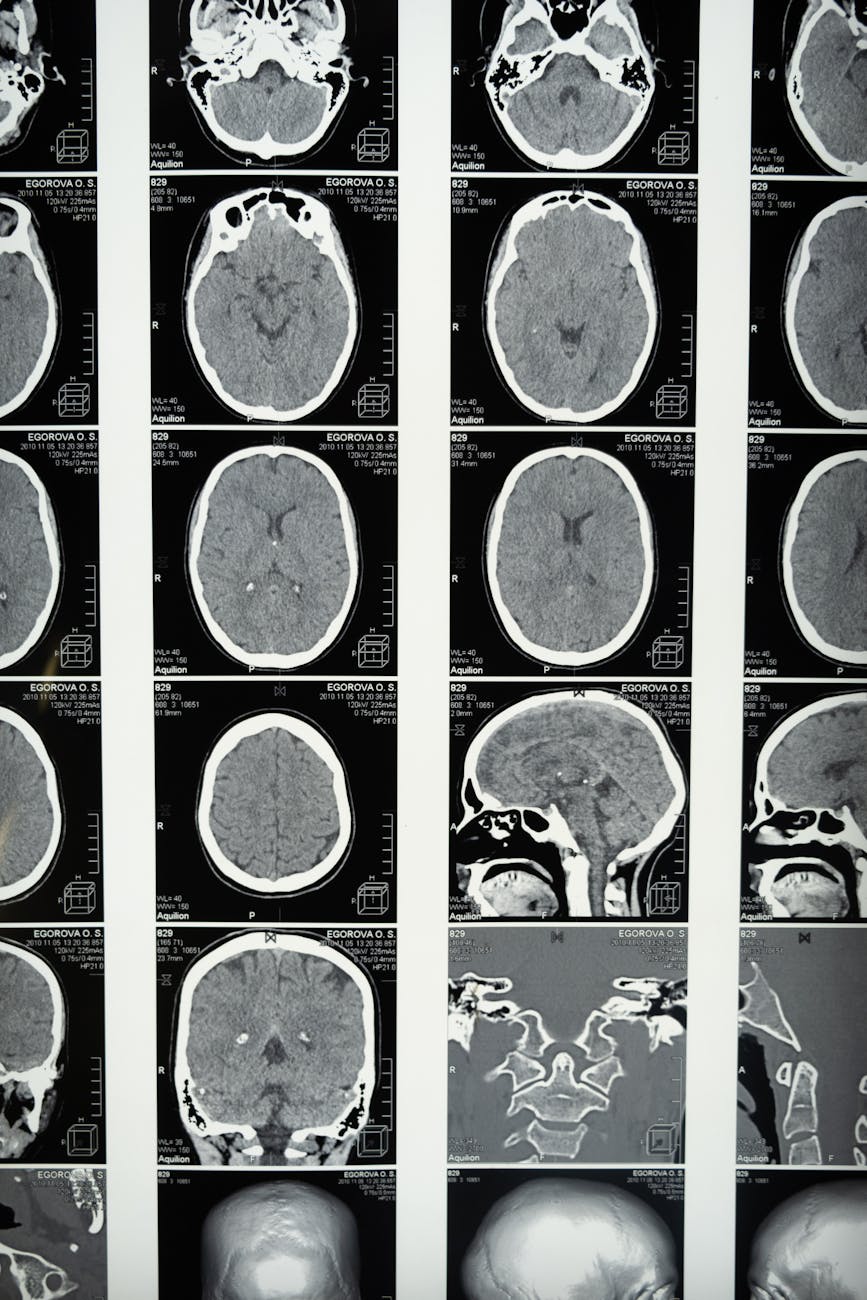 Philosophy of Mind: Why Experience Feels So Hard