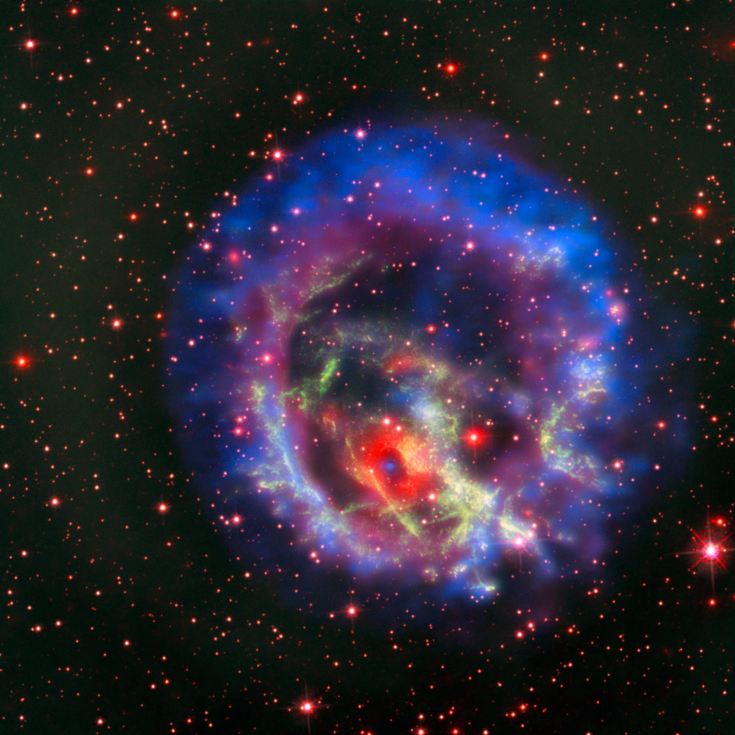 Supernova: The Neutrino Early Warning