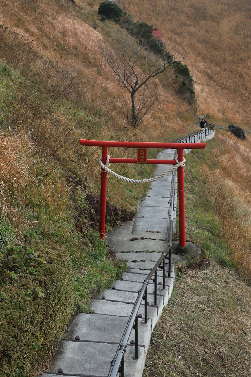 A road for pilgrims