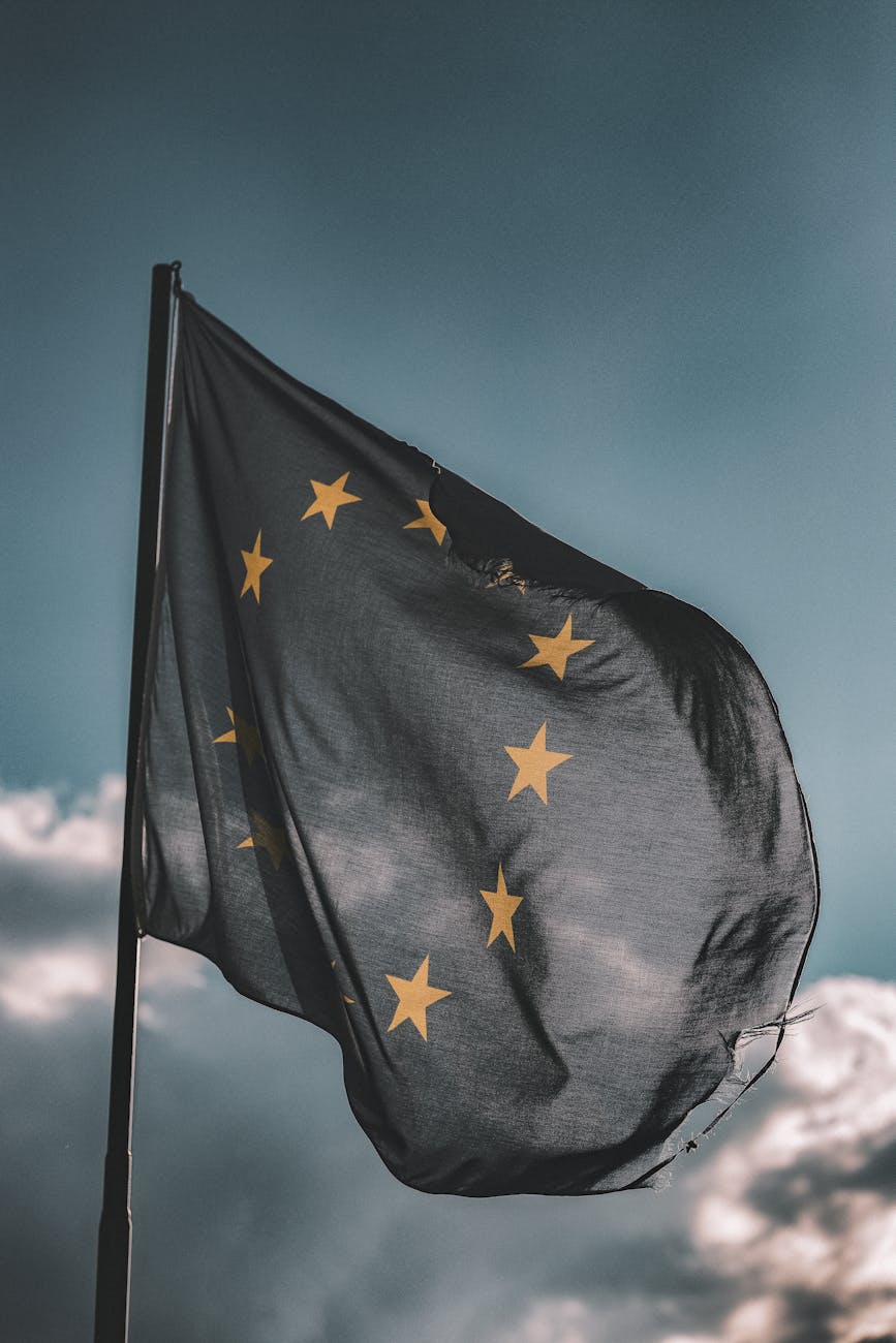 From Iron Curtain to Open Borders: Inside the European Union