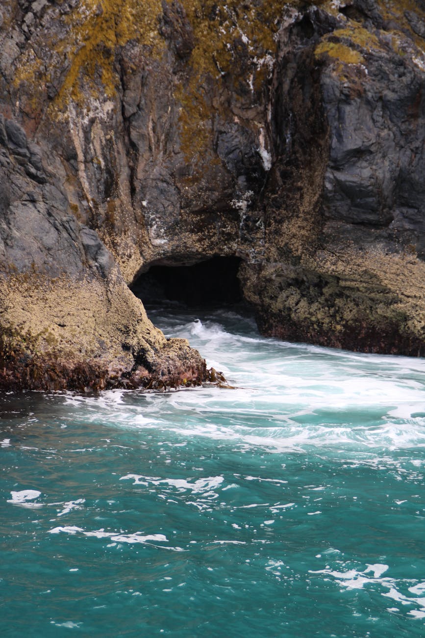 A Shelter That Changed Human History
