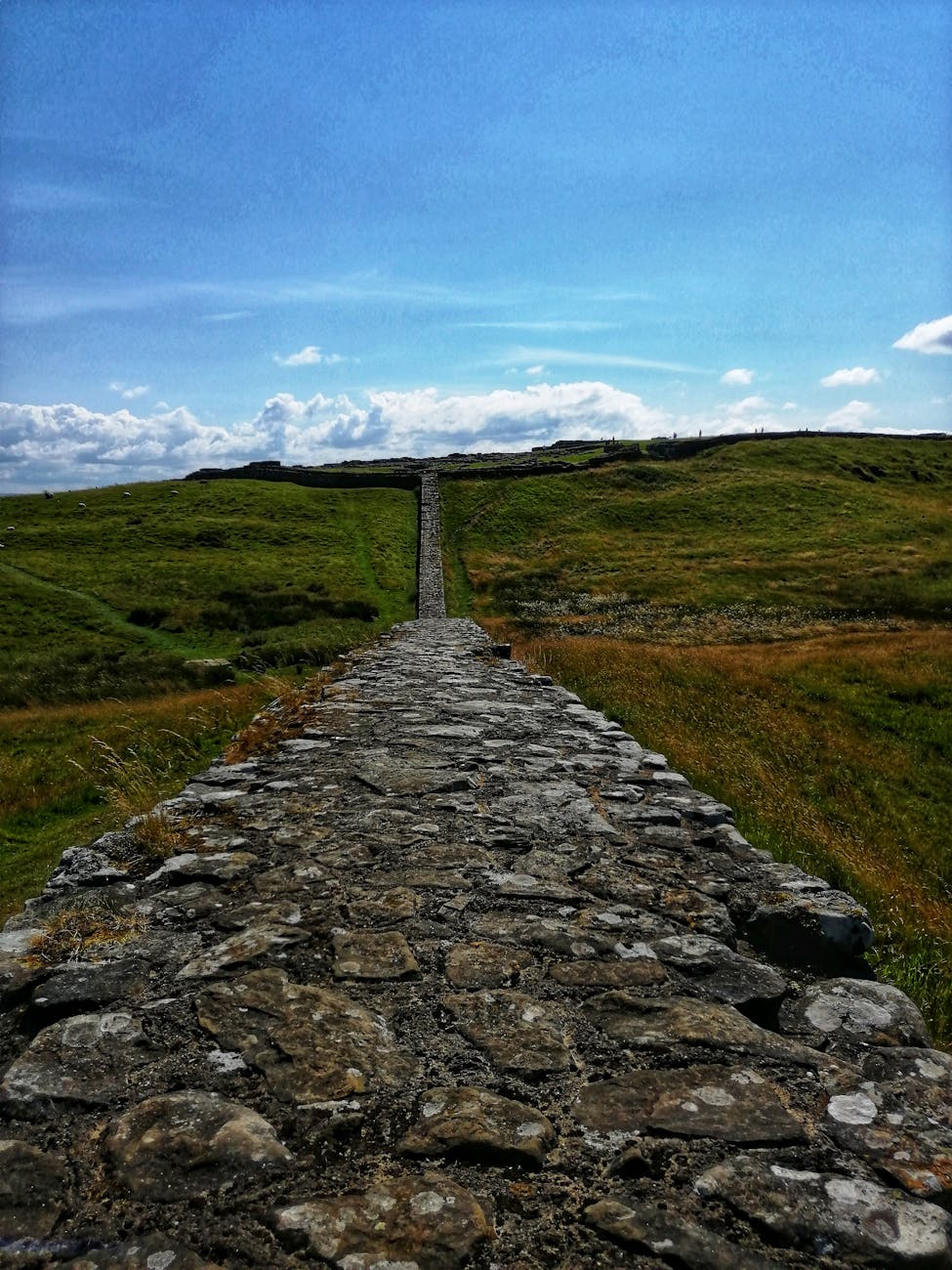 A Thin Roman Line