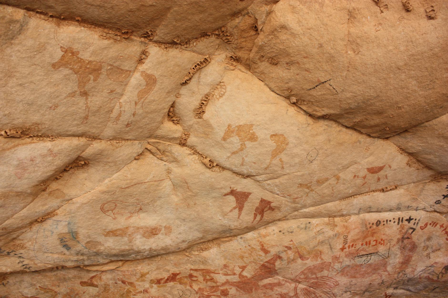 The Arts: From Caves to Cinema