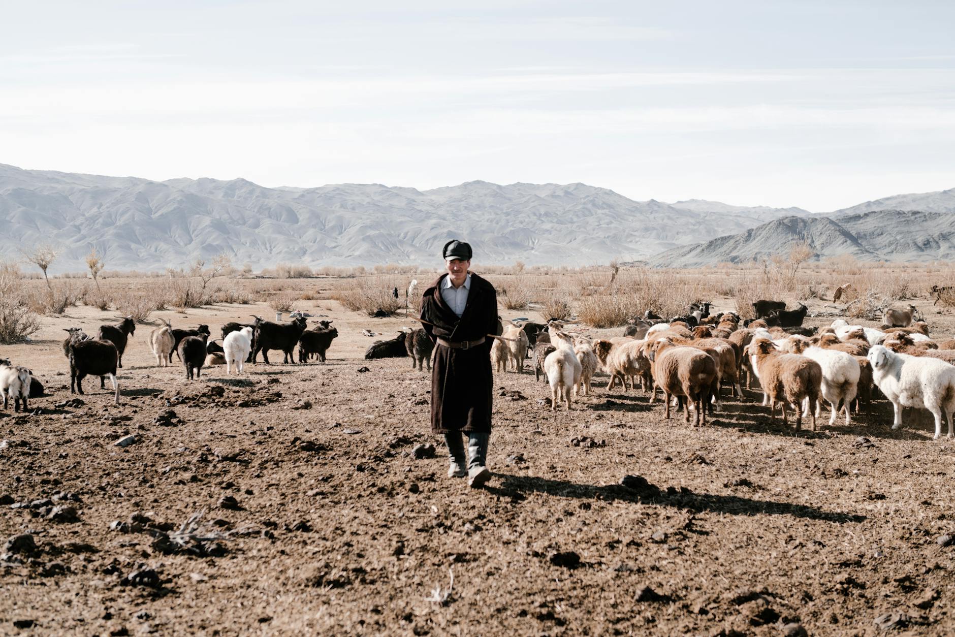 Society: Pastoral Power and Inequality