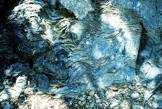 Stromatolites are left behind by cyanobacteria, known as blue-green algae. They are among the oldest fossils of life on Earth. This one-billion-year-old fossil is from Glacier National Park in the United States.