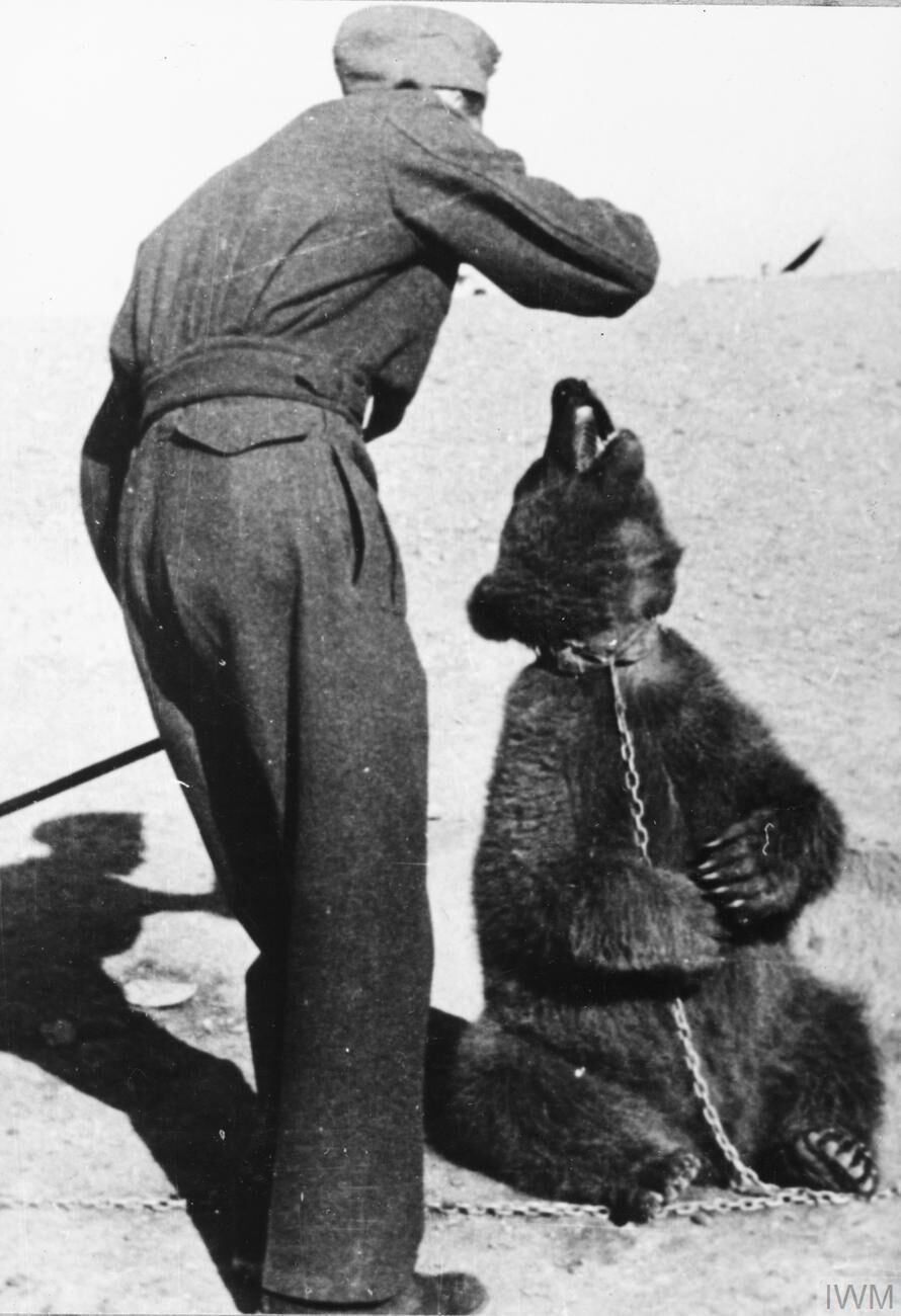 Wojtek the Bear in World War II