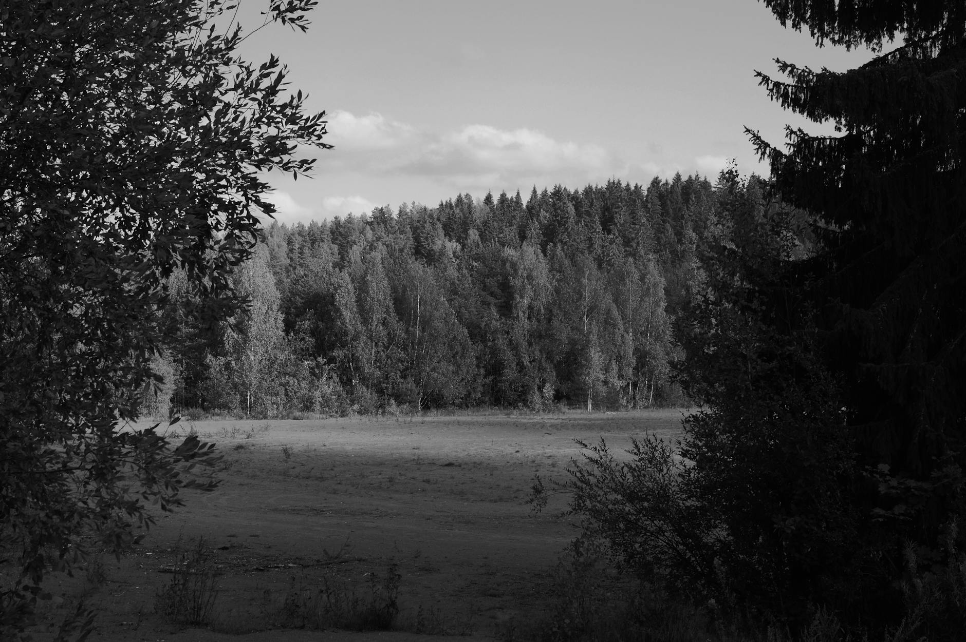 North–south contrasts