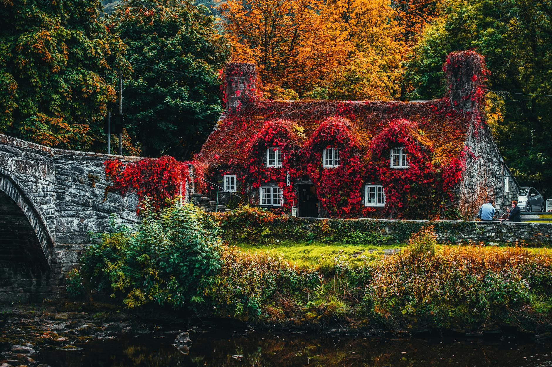Why Home Feels Personal