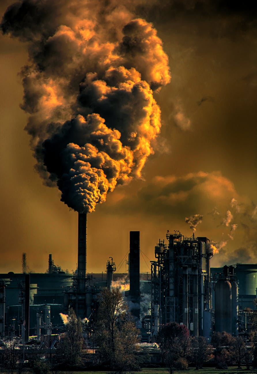 The Hidden Costs of Manufacturing