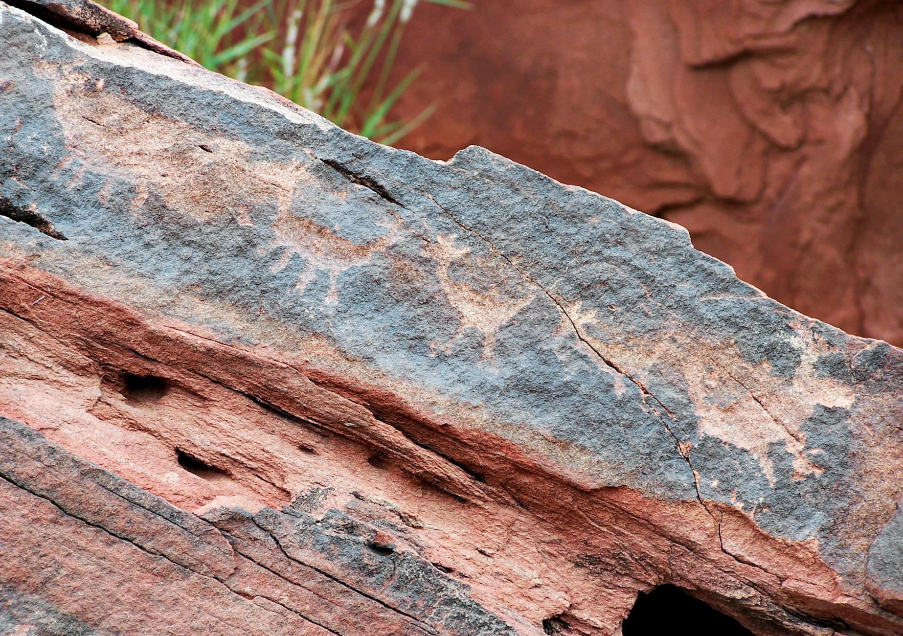 Women in Science: From Prehistory to Disparities