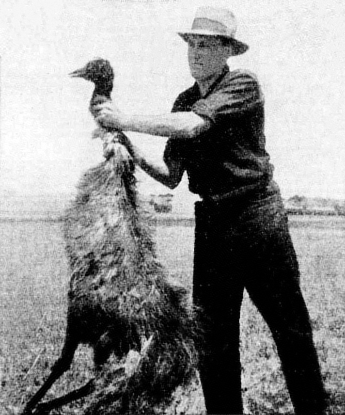 The Emus Didn't Fight Fair