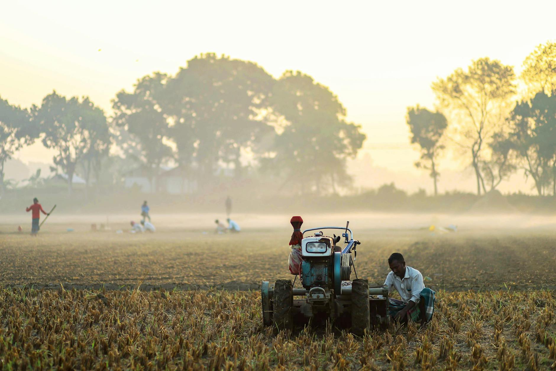 Human History: The Neolithic Revolution—How Farming RemadeUs