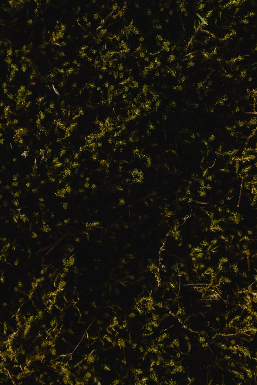 Everywhere, in crowds.
