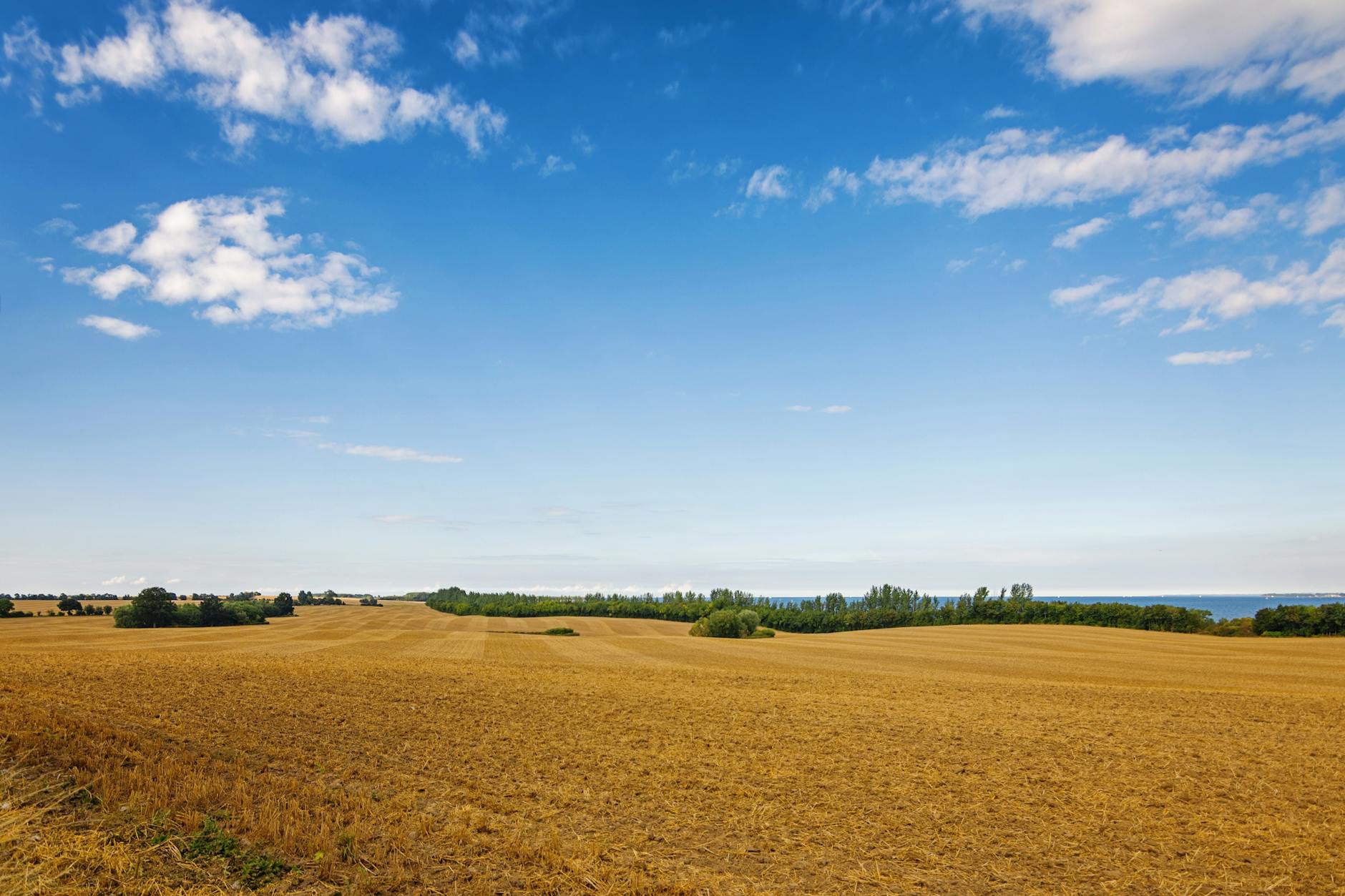 Agriculture — How Farming Sparked Civilization