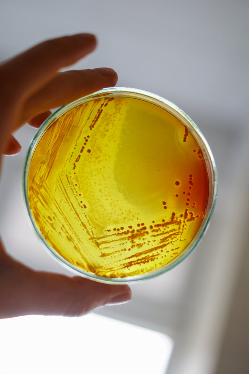 Life at the Extremes: How Far Can It Go?