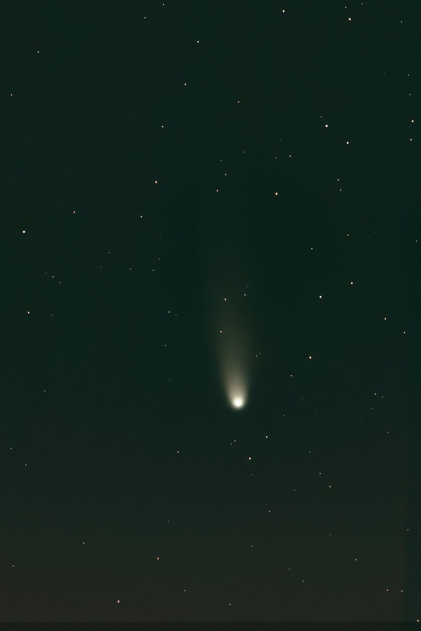 Comets: Seeds of Life—or Just Cosmic Carriers?
