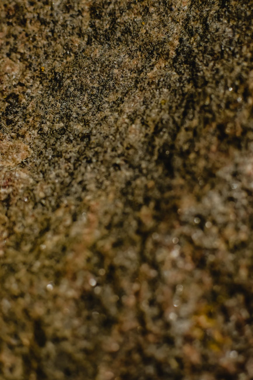 Rosetta Stone Appearance and Physical Secrets