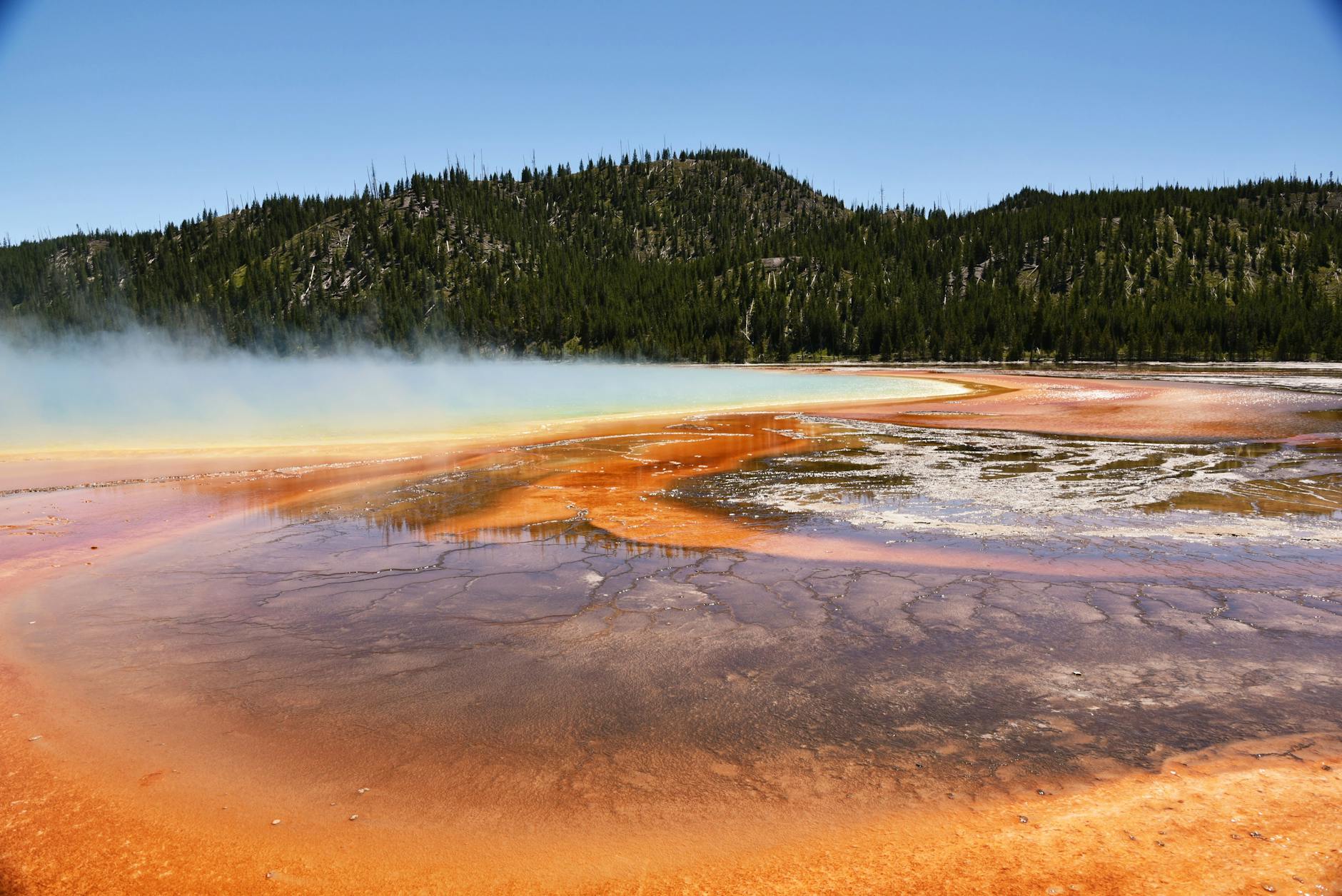 Boiling sediments, living cells