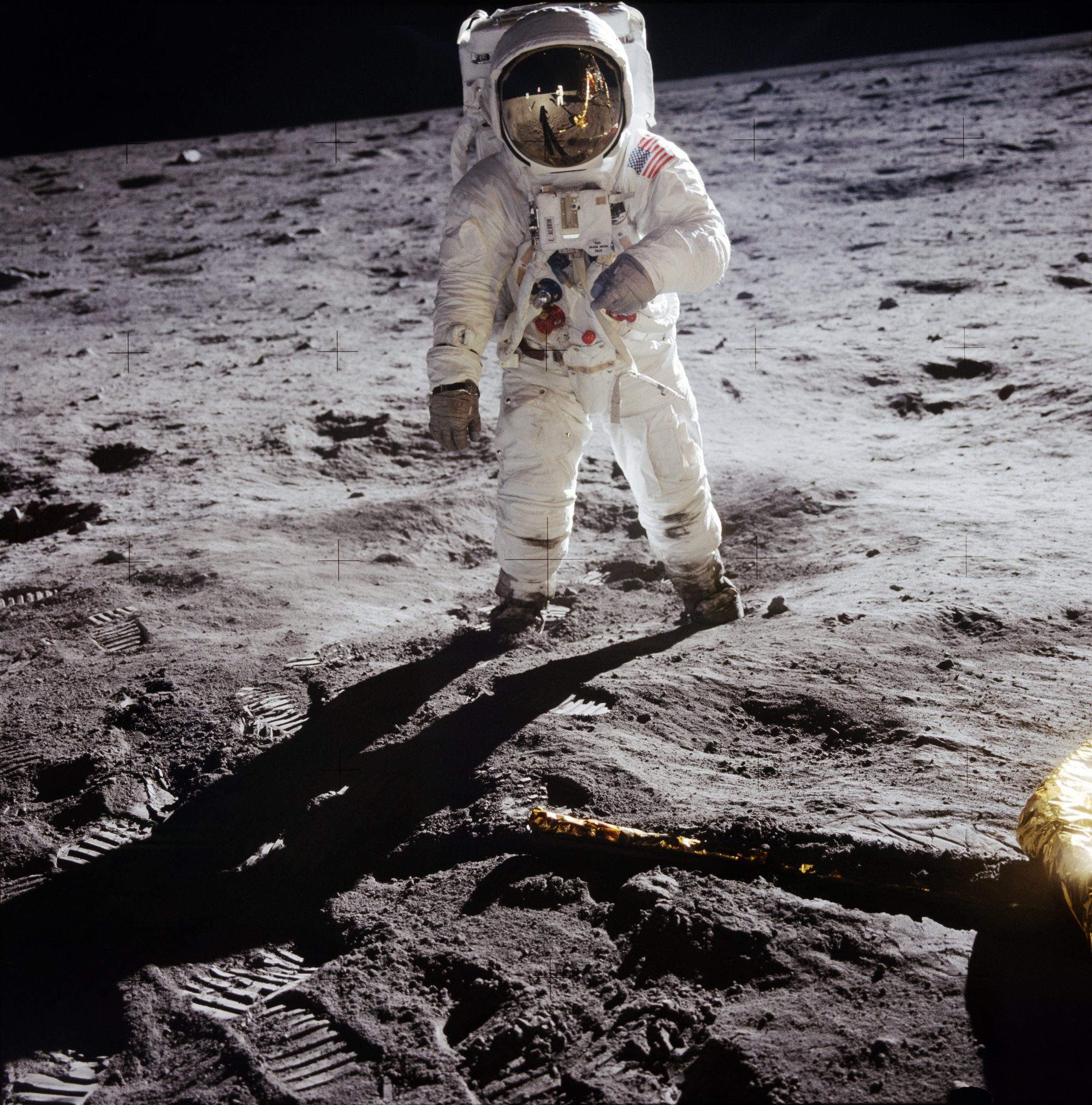 Humans and the Planet: Double‑Edged Impact