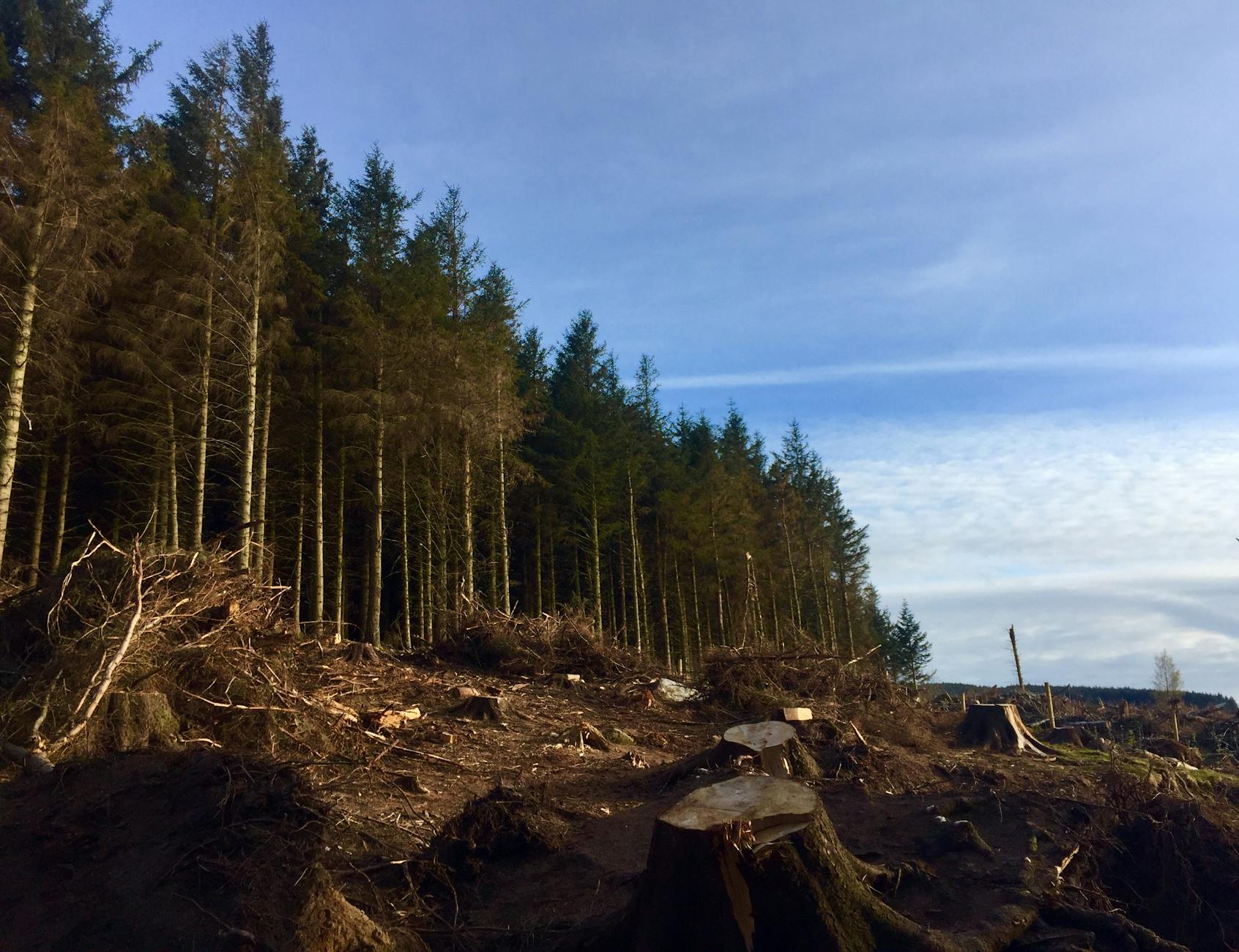 The landscape starts changing too