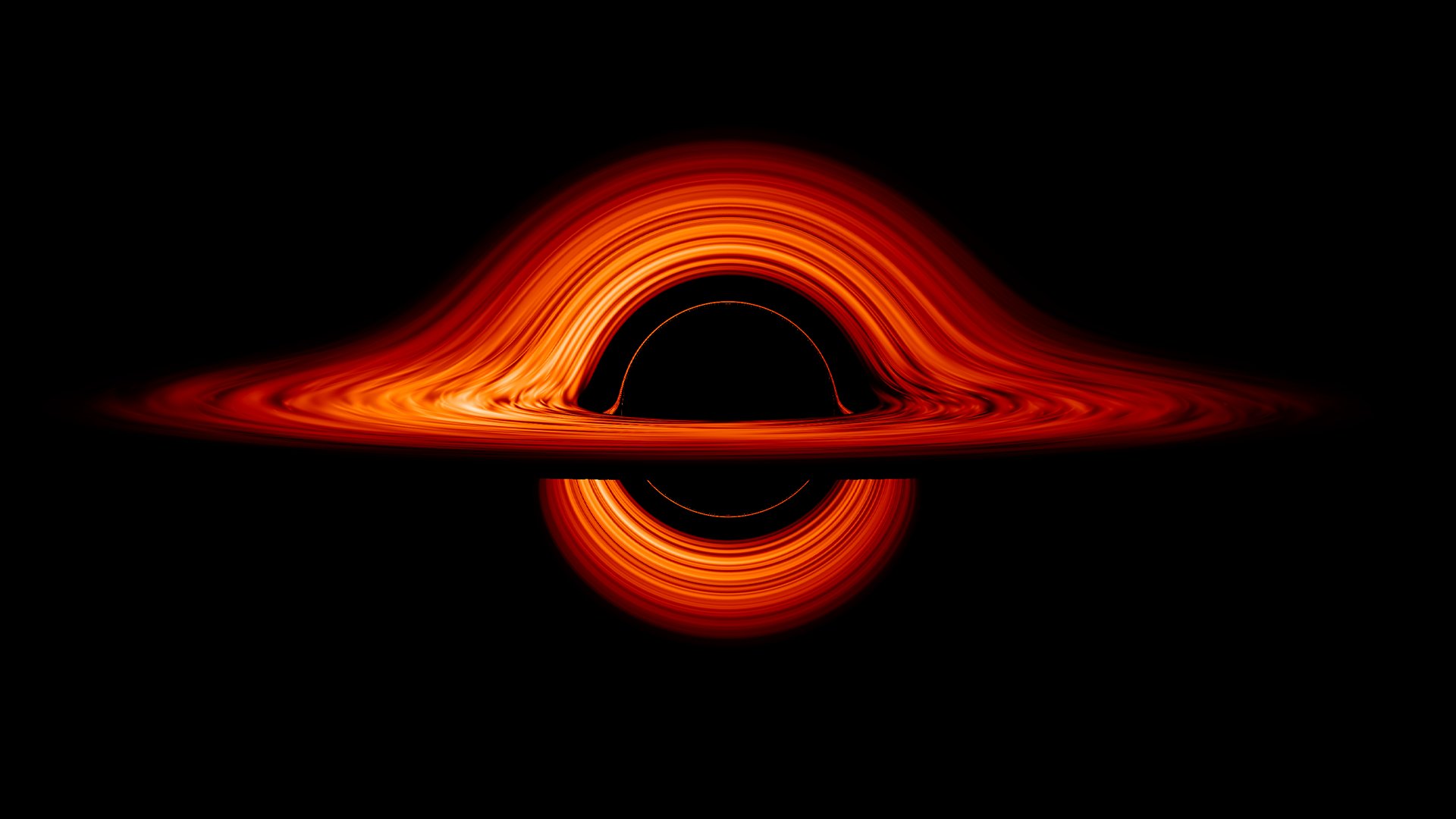 Black Holes: The No‑Hair Surprise