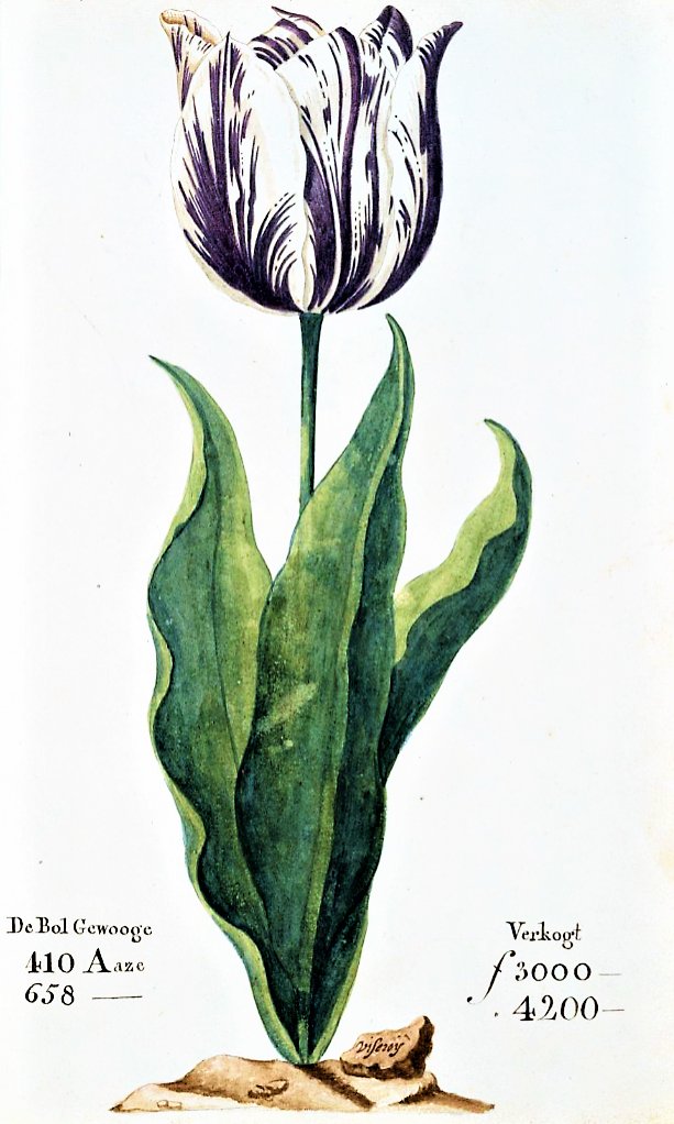 Tulip Mania: The Bubble That May Not Be What You Think